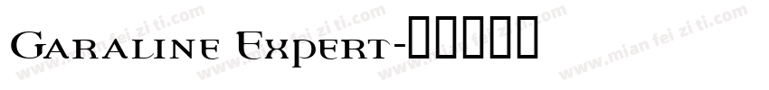Garaline Expert字体转换